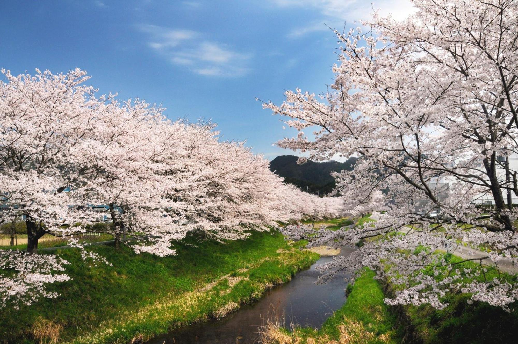 Satoyama Hotel Kanenone Tamba 마이바라 외부 사진