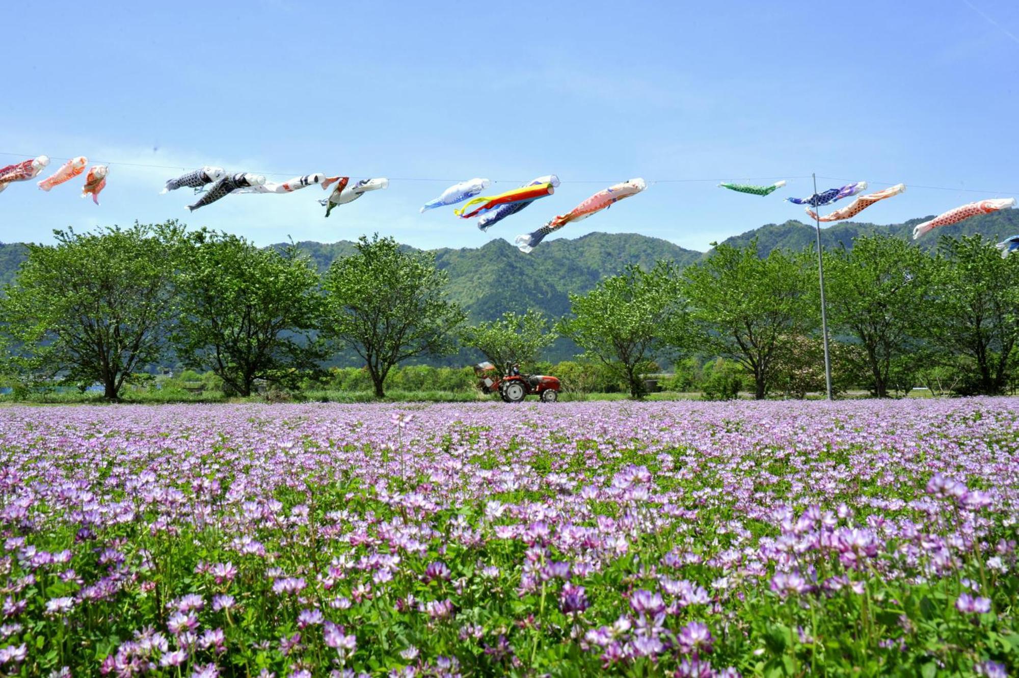 Satoyama Hotel Kanenone Tamba 마이바라 외부 사진