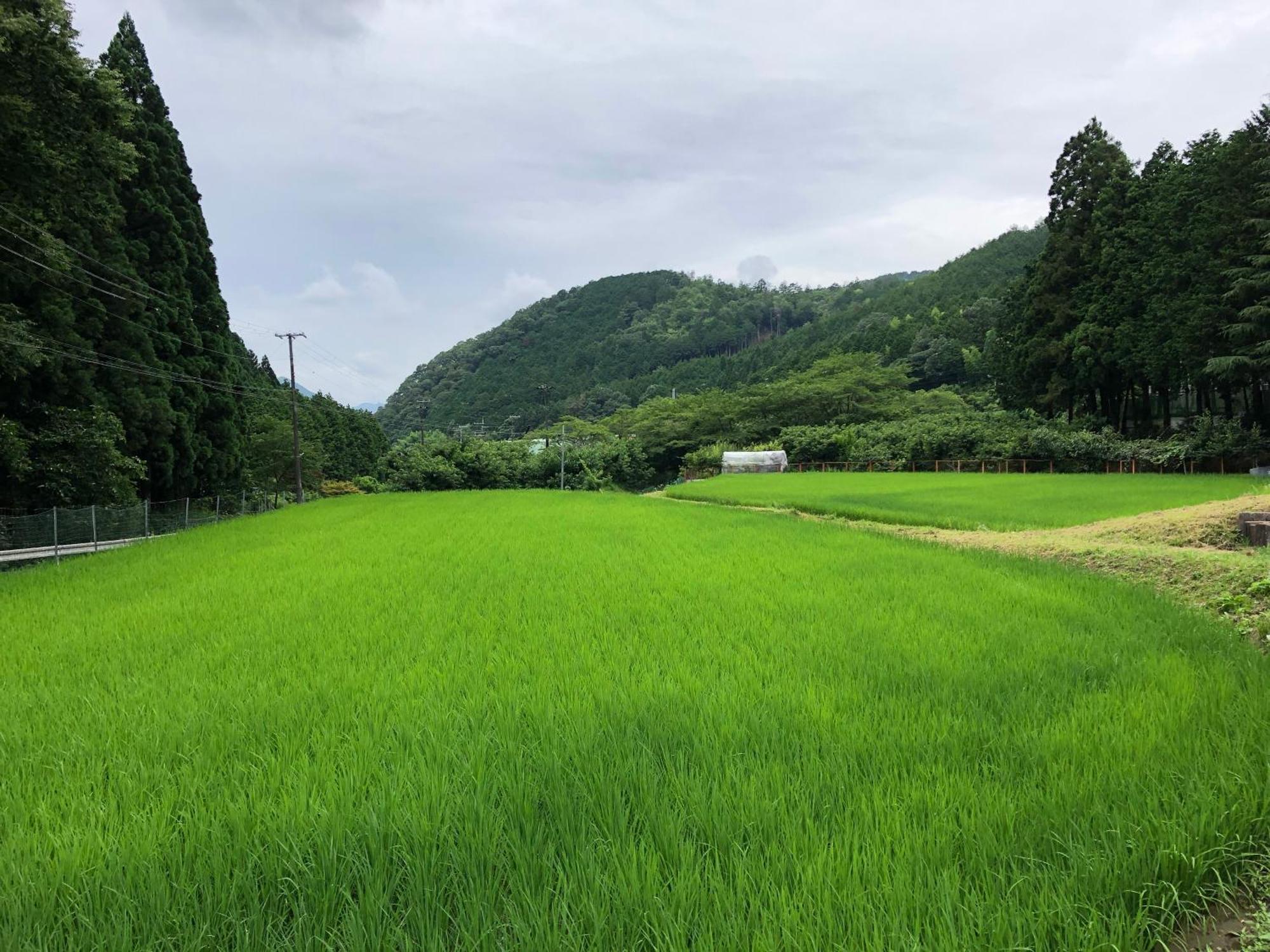 Satoyama Hotel Kanenone Tamba 마이바라 외부 사진