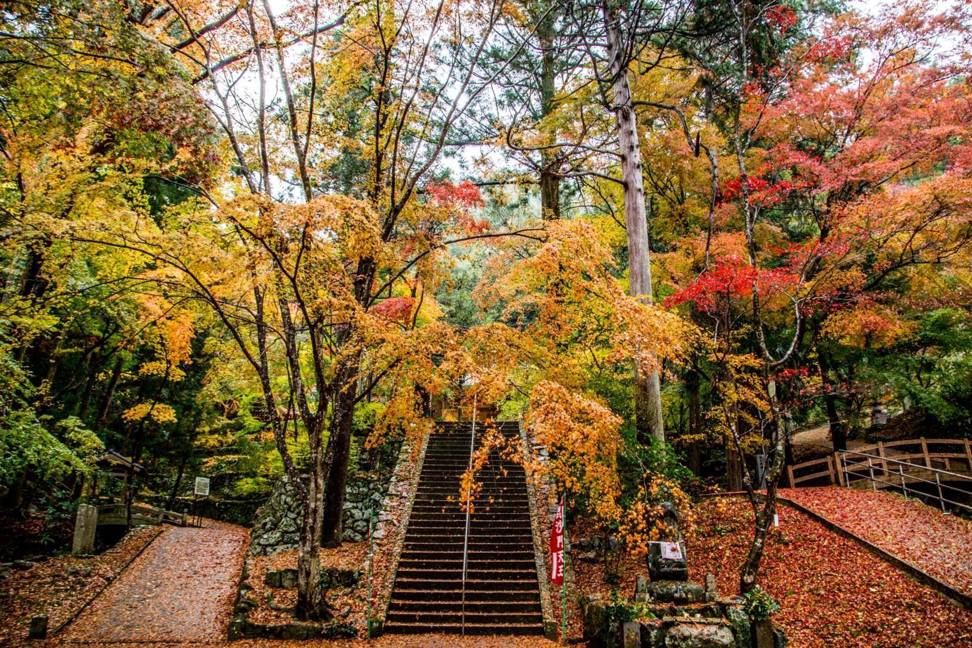 Satoyama Hotel Kanenone Tamba 마이바라 외부 사진